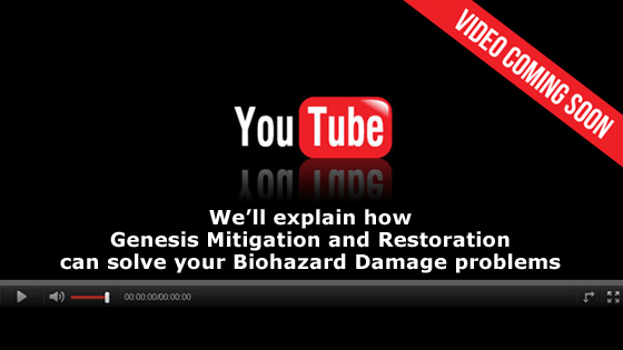 Video Coming Soon - How we can solve your Biohazard Damage problems