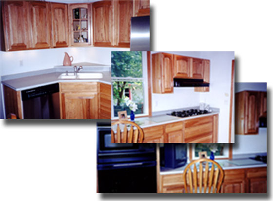 From Countertops to Cabinetry Genesis does it All!