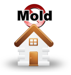 Mold and Mildew Removal