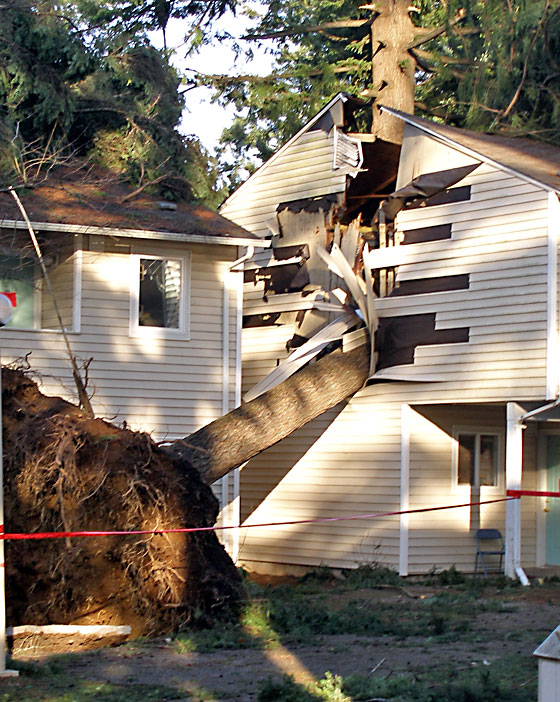 Damage can Happen Anytime... let Genesis Construction Mitigation and Restoration handle your loss